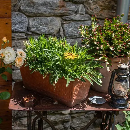 Farm stay Treterre *